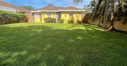 Venta Bonita Villa En Palma Real (Jutiapa, Atlántida)