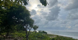 Venta de Terreno En La Aldea de Cuyamel, Sambo Creek, La Ceiba.