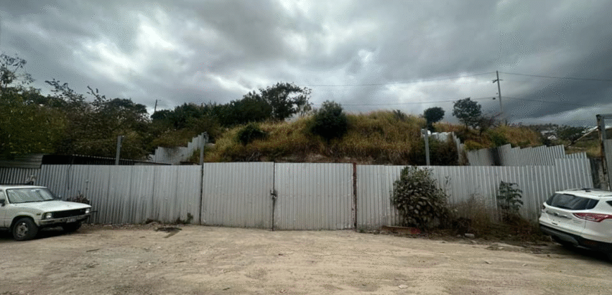 Alquiler de Plantel Colonia América.