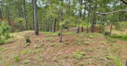 Venta de Propiedad Res. Miralago, El Hatillo