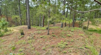 Venta de Propiedad Res. Miralago, El Hatillo