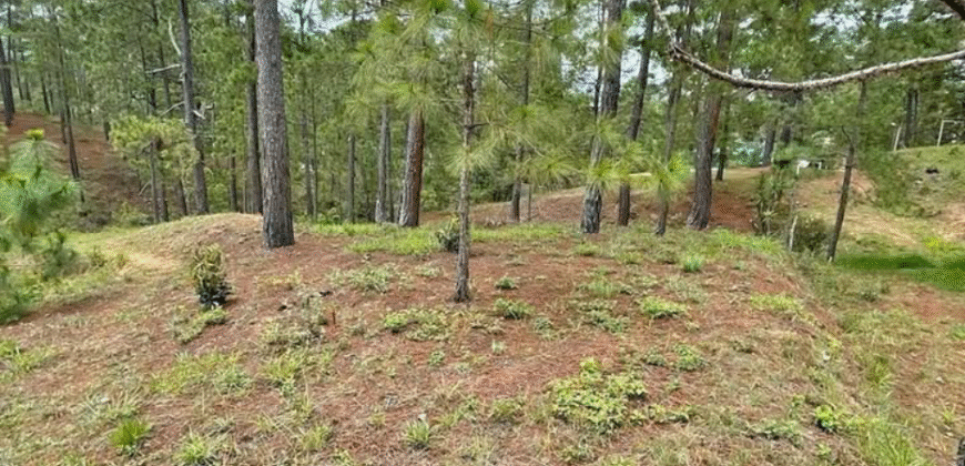 Venta de Propiedad Res. Miralago, El Hatillo