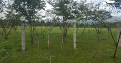 Venta de Propiedad en Zapotillo Departamento de Comayagua.