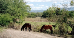Venta de Propiedad Villa de San Antonio, Depto. de Comayagua.