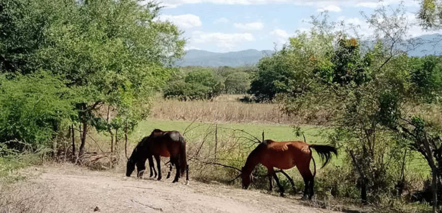 Venta de Propiedad Villa de San Antonio, Depto. de Comayagua.