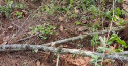 Venta de Terreno Colonia el Pedrero Santa Lucía, Francisco Morazán.