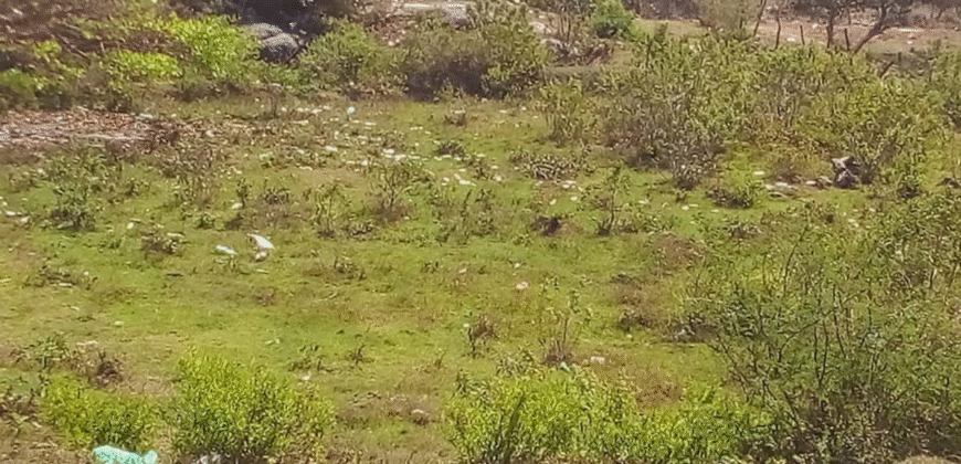 Venta de Terreno En Santa Ana, Fco. Morazán.