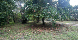 Venta de Terreno En La Aldea de Cuyamel, Sambo Creek, La Ceiba.