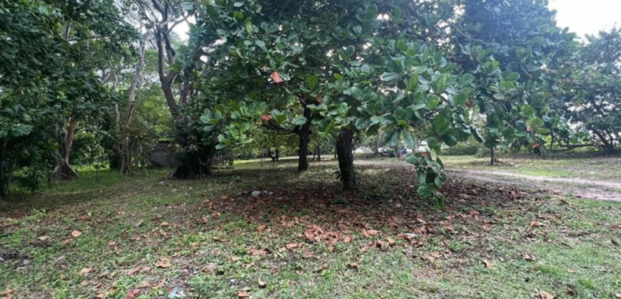 Venta de Terreno En La Aldea de Cuyamel, Sambo Creek, La Ceiba.