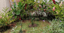 Venta de Amplia Casa Colonia Miramontes.