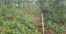 Venta de Terreno Zona El Tablón, El Hatillo,