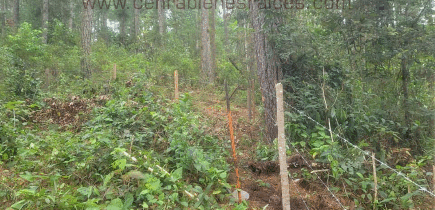 Venta de Terreno Zona El Tablón, El Hatillo,