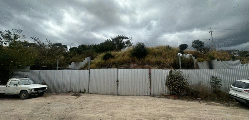 Alquiler de Plantel Colonia América.