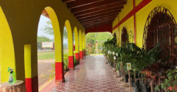 Alquiler de Local para Restaurante en Talanga.