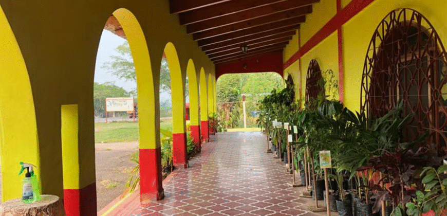 Alquiler de Local para Restaurante en Talanga.