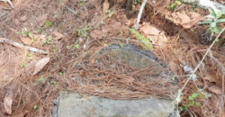 Venta de Terreno Colonia el Pedrero Santa Lucía, Francisco Morazán.