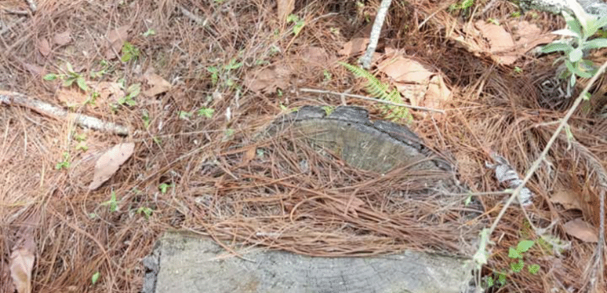 Venta de Terreno Colonia el Pedrero Santa Lucía, Francisco Morazán.