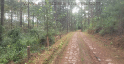 Venta de Terreno Zona El Tablón, El Hatillo,