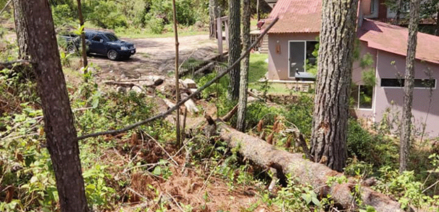 Venta de Terreno Colonia el Pedrero Santa Lucía, Francisco Morazán.
