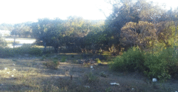 Venta de Terreno En Santa Ana, Fco. Morazán.