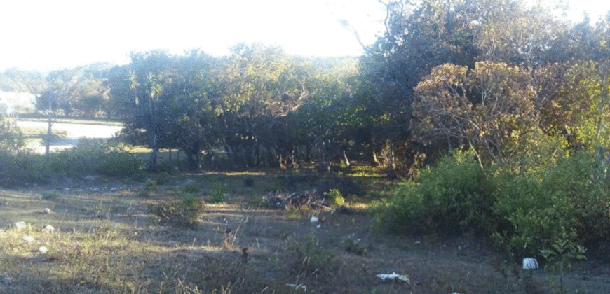 Venta de Terreno En Santa Ana, Fco. Morazán.