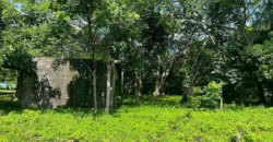 Venta de Terreno En La Aldea de Cuyamel, Sambo Creek, La Ceiba.