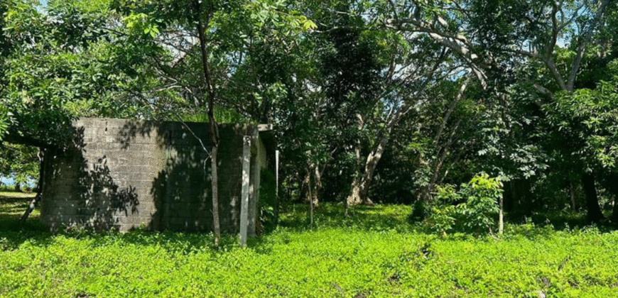 Venta de Terreno En La Aldea de Cuyamel, Sambo Creek, La Ceiba.