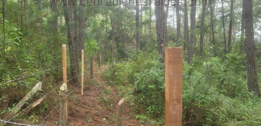 Venta de Terreno Zona El Tablón, El Hatillo,