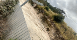 Alquiler de Plantel Colonia América.