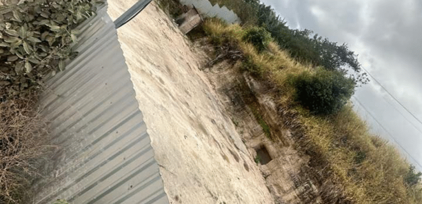 Alquiler de Plantel Colonia América.