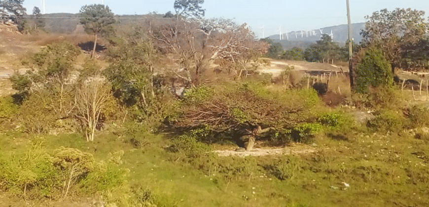 Venta de Terreno En Santa Ana, Fco. Morazán.