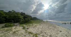 Venta de Terreno En La Aldea de Cuyamel, Sambo Creek, La Ceiba.