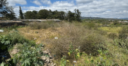 Venta de Terreno en Cerro de Hula, Santa Ana, Francisco Morazán.