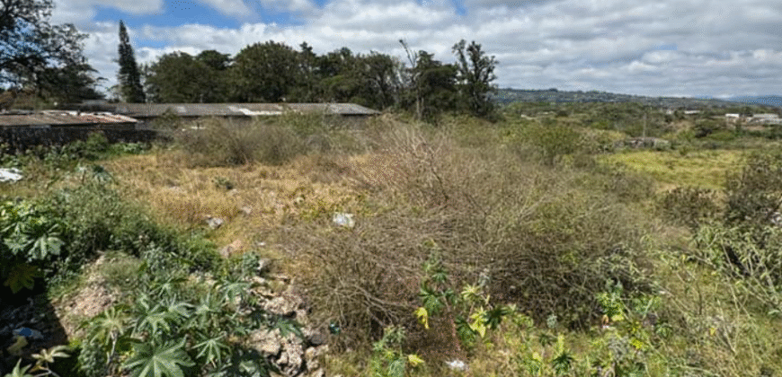 Venta de Terreno en Cerro de Hula, Santa Ana, Francisco Morazán.