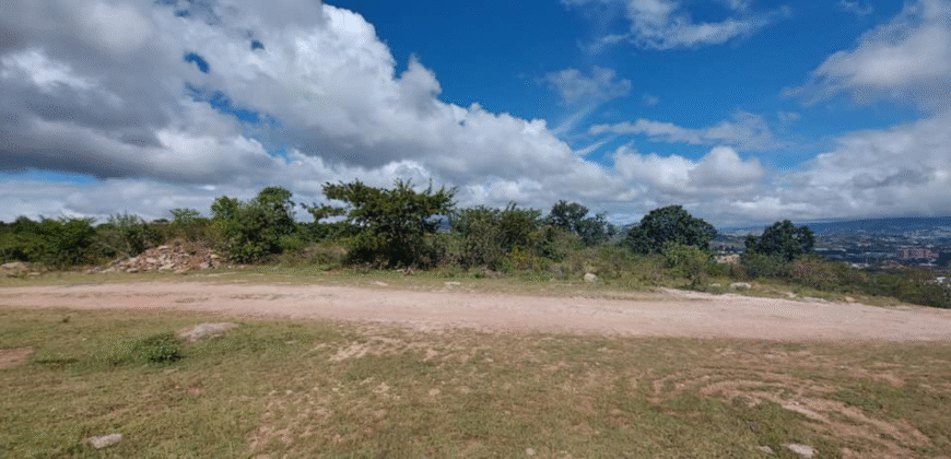 Venta Terrenos Residencial Mirador Los Hidalgos.