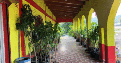 Alquiler de Local para Restaurante en Talanga.