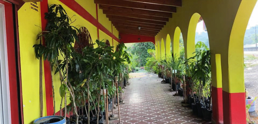 Alquiler de Local para Restaurante en Talanga.