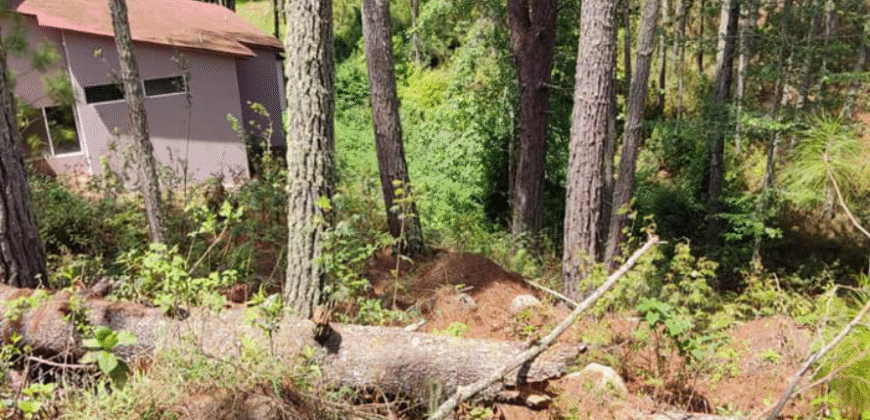 Venta de Terreno Colonia el Pedrero Santa Lucía, Francisco Morazán.