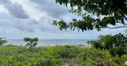 Venta de Terreno En La Aldea de Cuyamel, Sambo Creek, La Ceiba.