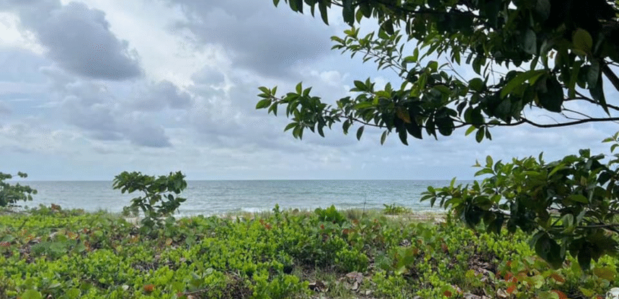 Venta de Terreno En La Aldea de Cuyamel, Sambo Creek, La Ceiba.