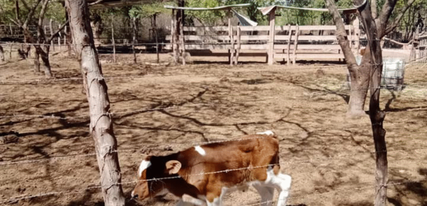 Venta de Propiedad Villa de San Antonio, Depto. de Comayagua.