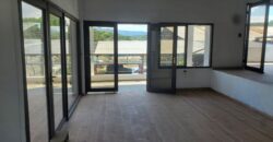 Renta 2 Locales Comerciales Residencial La Cañada