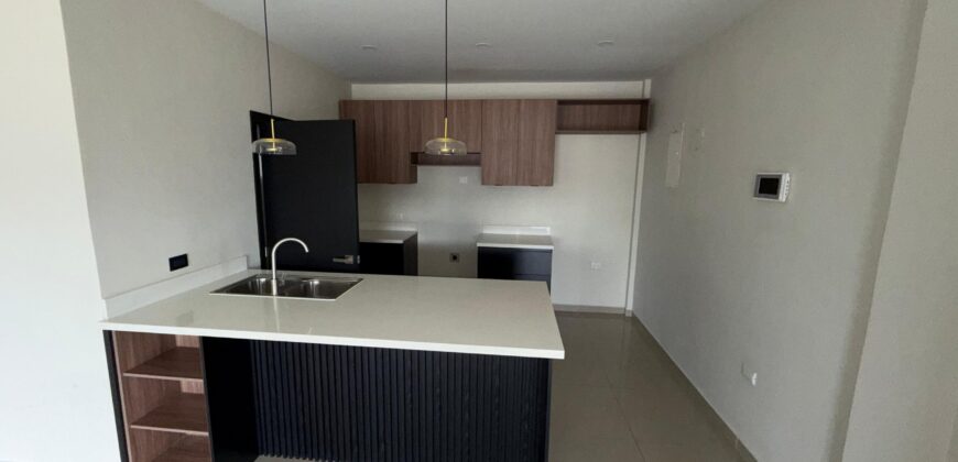 Renta Apartamentos Residencial Marichal subida al Picacho