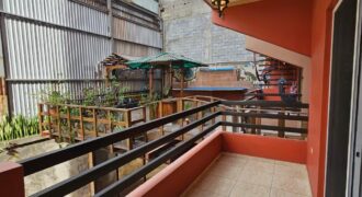 Renta Apartamentos Colonia San Miguel