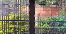 Renta o Venta Edificio Colonia Florencia Norte