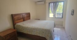 Renta Apartamento Amueblado Colonia Lomas del Guijarro