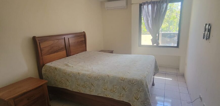 Renta Apartamento Amueblado Colonia Lomas del Guijarro