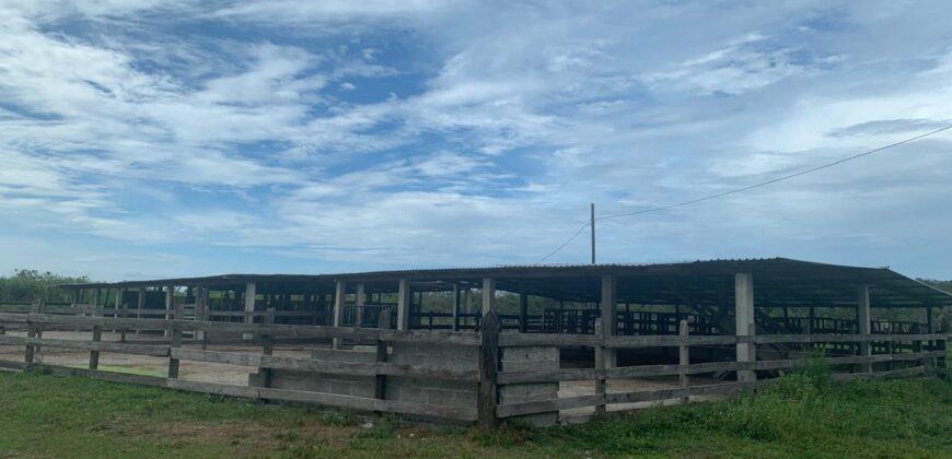 Venta de Propiedad Departamento de Atlántida, Tela.