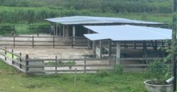 Venta de Propiedad Departamento de Atlántida, Tela.