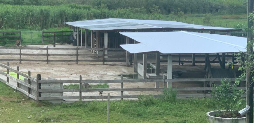 Venta de Propiedad Departamento de Atlántida, Tela.